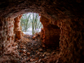 MG_5295-Kopie