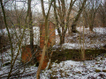 MG_5302-Kopie