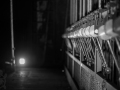 MG_0904