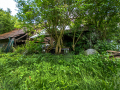MG_3048-Kopie