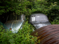 MG_3052-Kopie