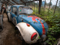MG_3061-Kopie