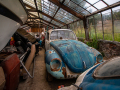 MG_3062-Kopie