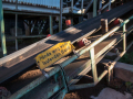 MG_2616-Kopie