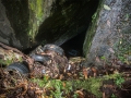 _MG_7433.jpg