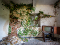MG_3116-Kopie