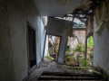 MG_3134-Kopie