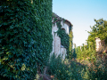 MG_4179-Kopie