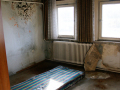 MG_3059-Kopie