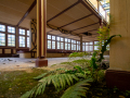 MG_3243-Kopie