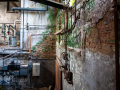 MG_3363-Kopie