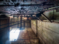 MG_3365-Kopie