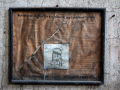 MG_3390-Kopie