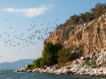 MG_4664-Kopie