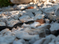 MG_4759-Kopie