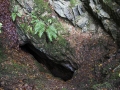 IMG_1435.jpg