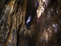 _MG_5431.jpg