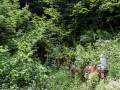 _MG_6153.jpg