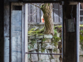 MG_5126-Kopie