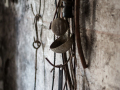MG_5127-Kopie