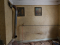 MG_8575-Kopie