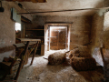 MG_8594-Kopie