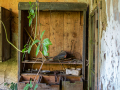 MG_3882-Kopie