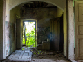 MG_3905-Kopie