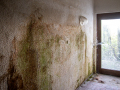 MG_5297-Kopie