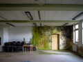 MG_5318-Kopie