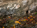 MG_4509-Kopie