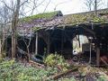 MG_3309-Kopie