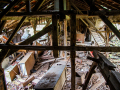 MG_3325-Kopie
