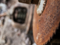 MG_3329-Kopie