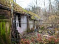 MG_3332-Kopie