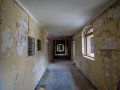 MG_8249-Kopie