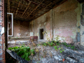 MG_8256-Kopie