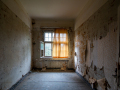 MG_8276-Kopie