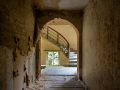 MG_8337-Kopie
