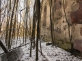 _MG_4907