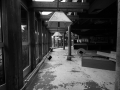 IMG_8909