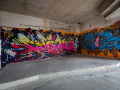 MG_1349-Kopie