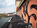 MG_1353-Kopie