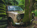 MG_2991-Kopie