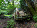 MG_3002-Kopie