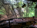 MG_3015-Kopie