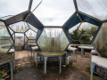 MG_5609-Kopie