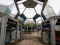 MG_5612-Kopie