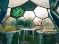 MG_5635-Kopie