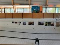 Montemaris